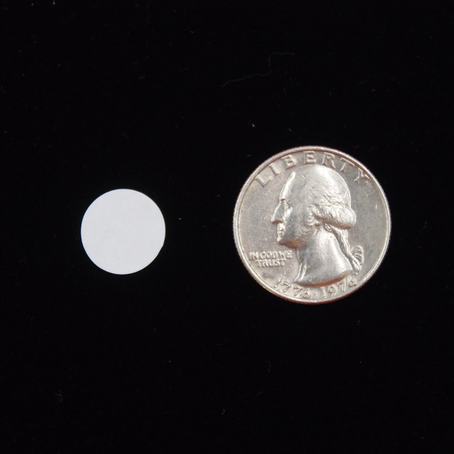 Circle Self Adhesive Plain Label 1/2" next to a U.S. Quarter