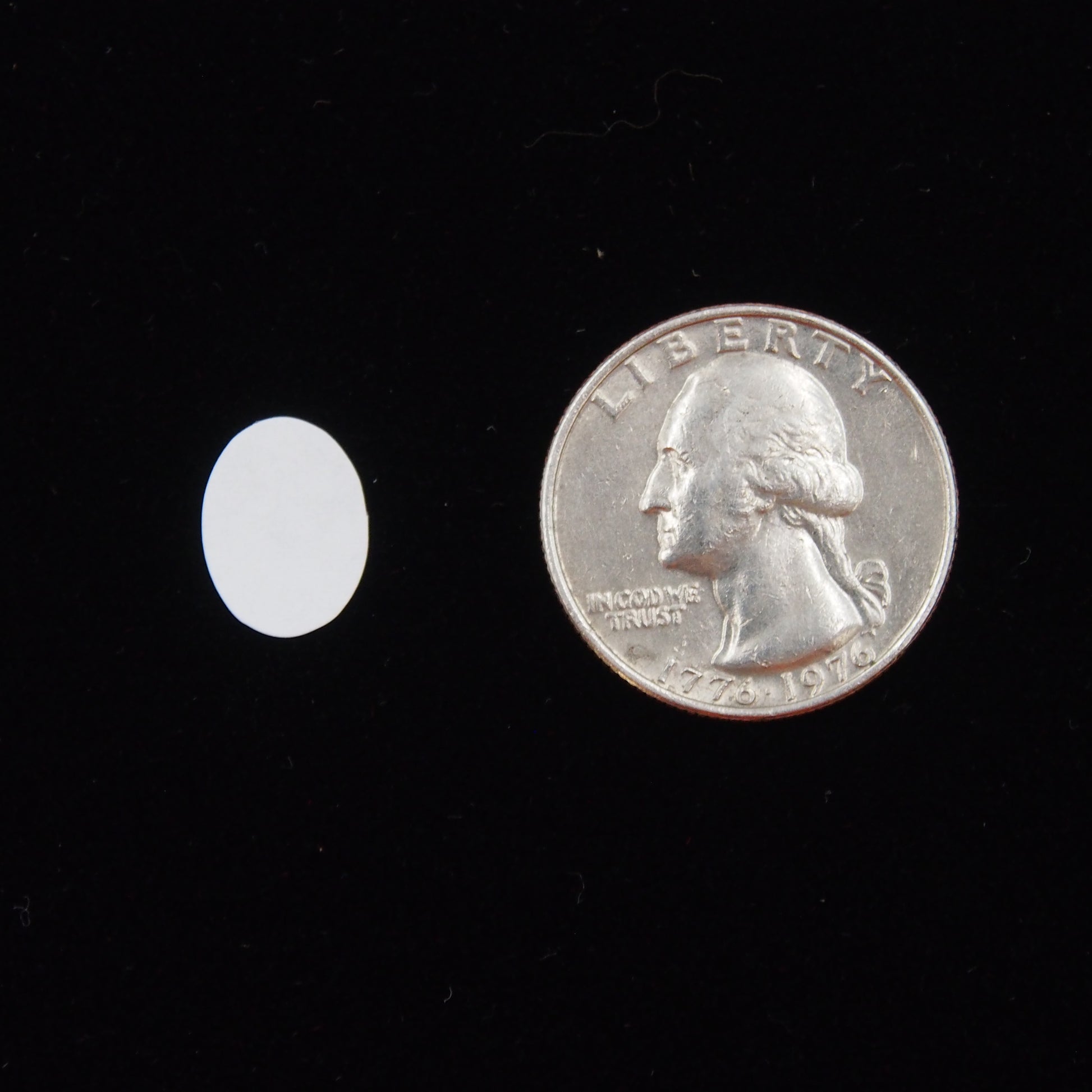 Oval Self Adhesive Plain Label, next to a U.S. Quarter