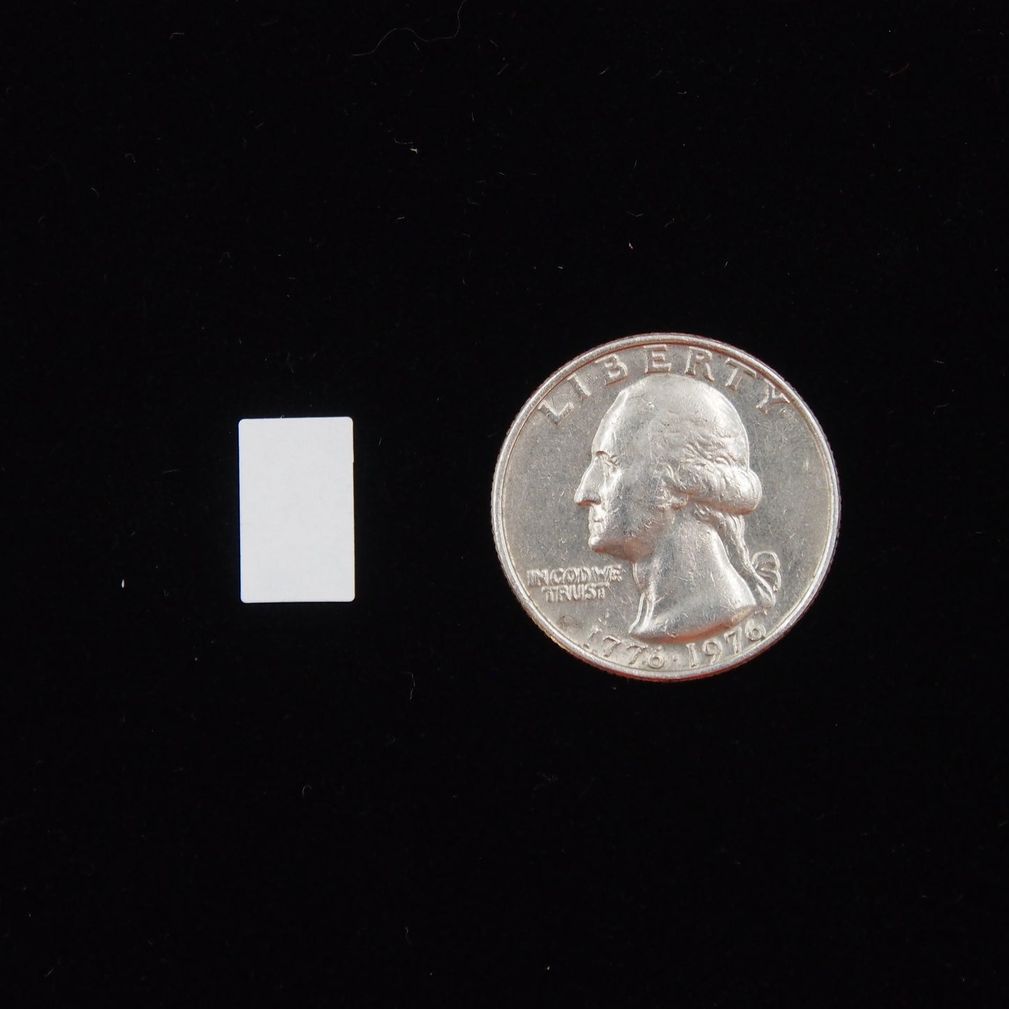 Small Rectangular Self Adhesive Plain Label - (5/16" x 1/2") next to a U.S. Quarter
