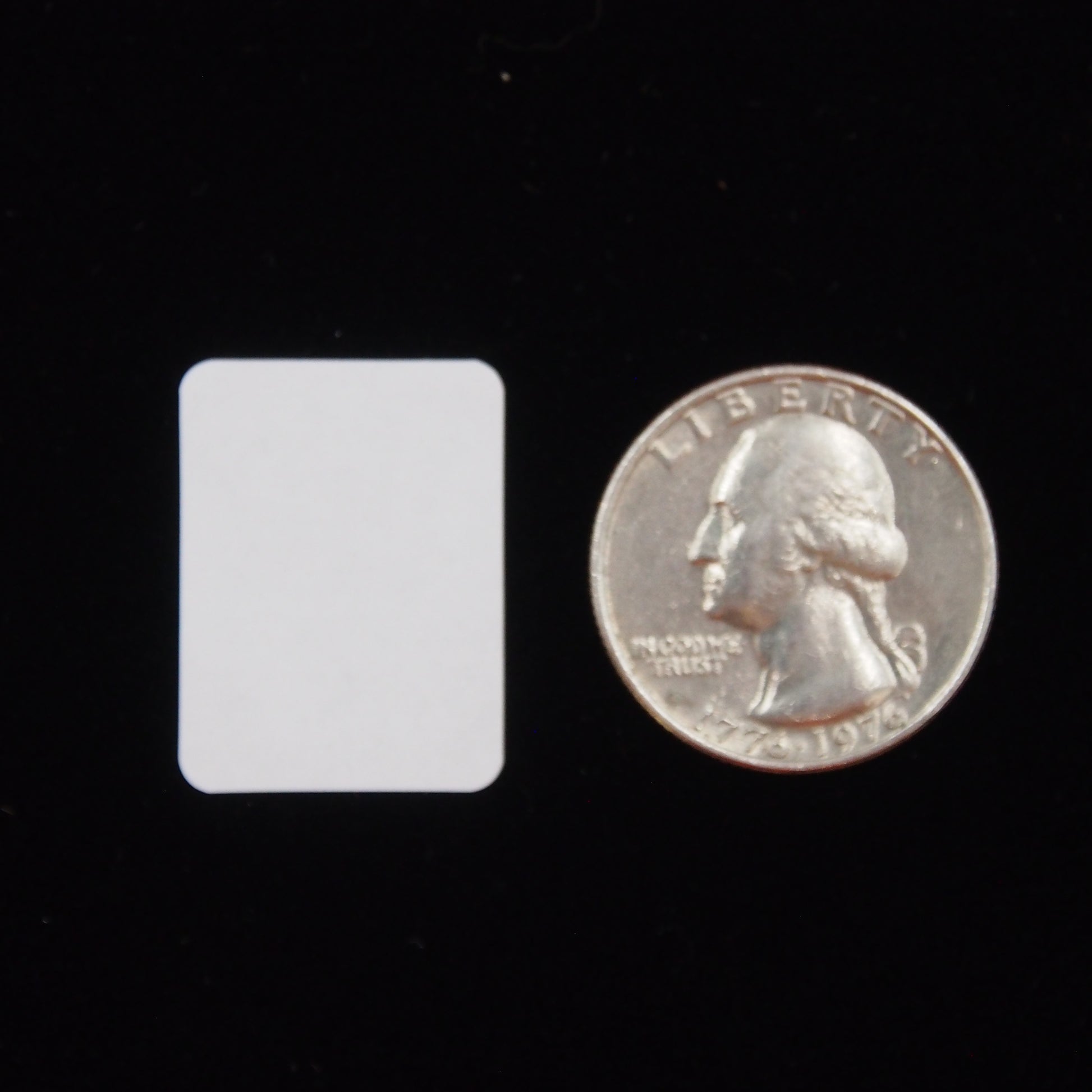 Rounded Edge Rectangular Self Adhesive Plain Label - (3/4" x 1") next to a U.S. Quarter